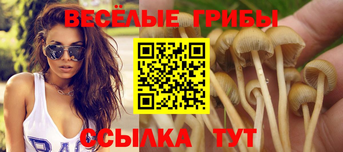 Псилоцибиновые грибы Psilocybine cubensis Ишим