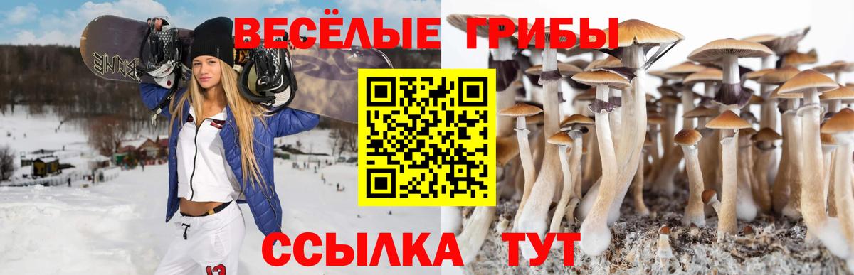 Ишим  Псилоцибиновые грибы прущие грибы  сколько стоит  Вход с VPN 